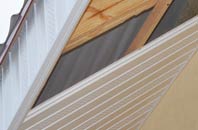 rated Appledore soffit repair companies